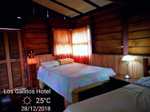 Los Gallitos Eco Lodge