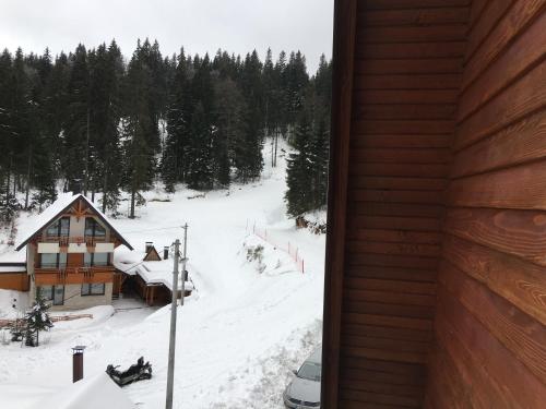 Sports and activities, Apartments Villa Deja in Jahorina