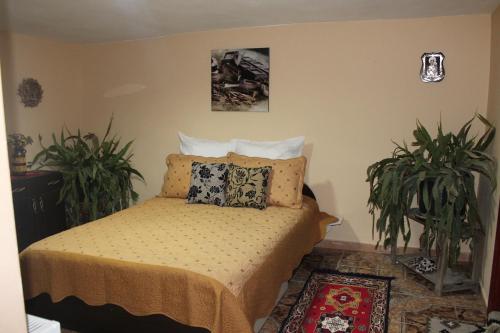 Casa Andreia - image 12