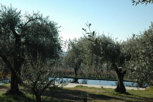 La Luna - dependance - Apartment - Bardolino