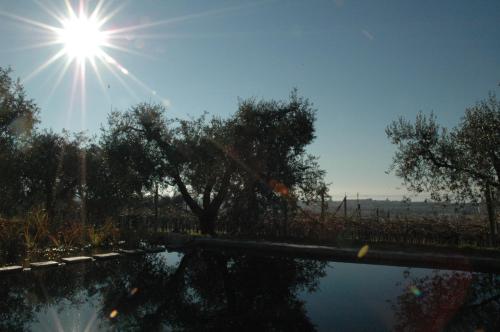 La Luna - dependance - Apartment - Bardolino