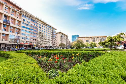 The Stay - Bucharest - image 2