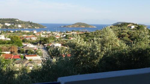 Camelia studios - image 9