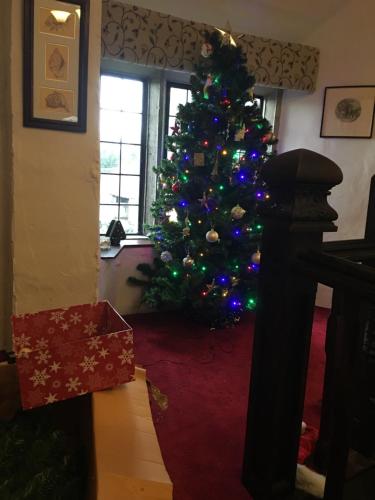 Great House Guest House - image 6