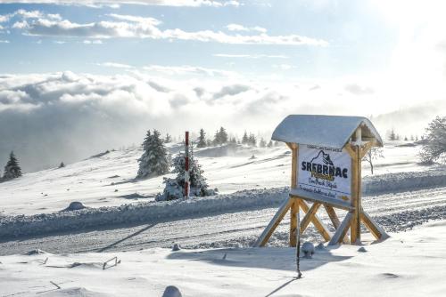 Hotel Srebrnac Kopaonik