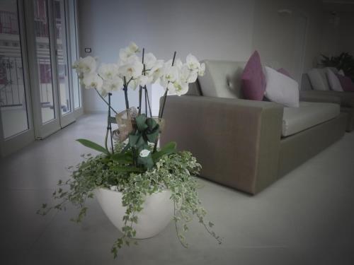 Alma di Alghero Hotel - image 3