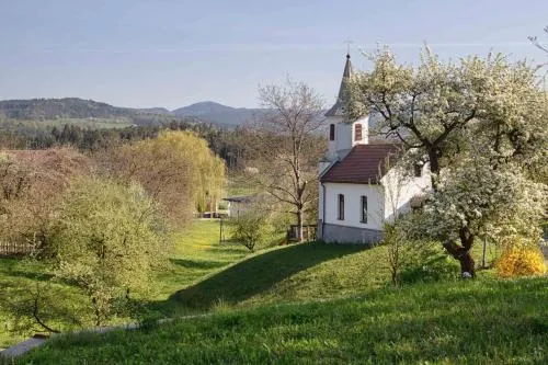 Willi's Bauernhof in Leiben, Österreich