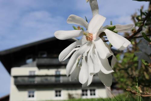 Haus Brandstätter