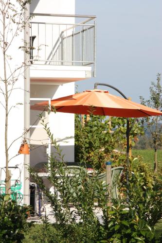 Ferienwohnungen Rimsting am Chiemsee - image 4