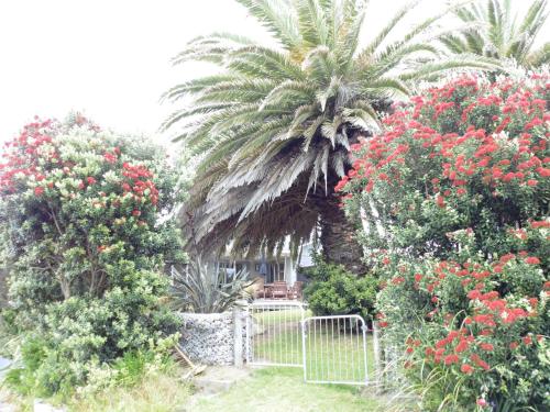 TWIN PALMS - Waikanae