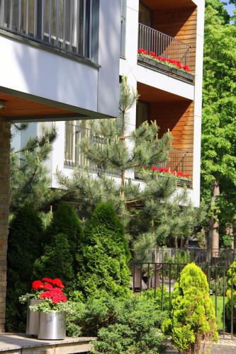 Jūros Apartamentai - image 2
