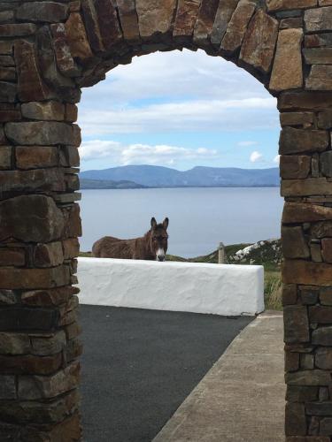 Crohy Cottage in Dunglow