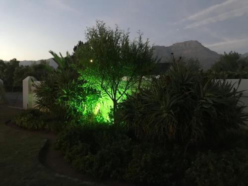 Towerzicht Guest House Towerzicht Guest House