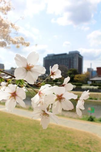 Hotel Okura Kyoto