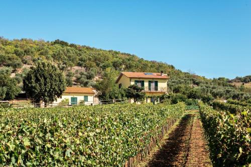 Poggiolivi Country House - image 7