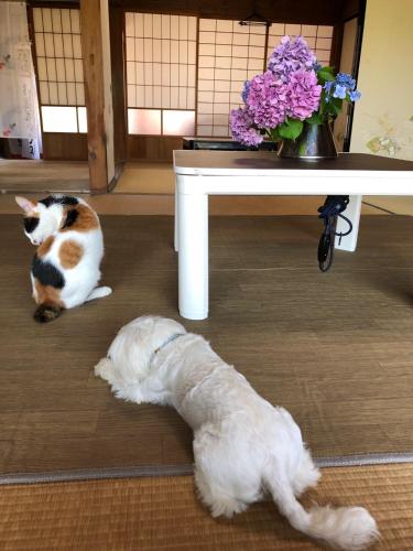 Ioki Station Guest House