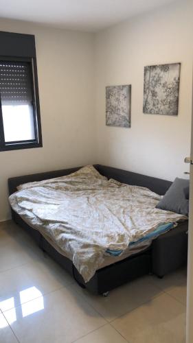 29 Efraim Street Apartment