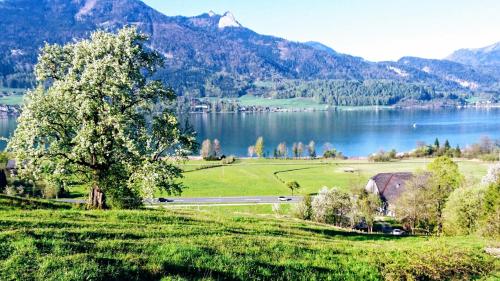 Fumerhof - image 5