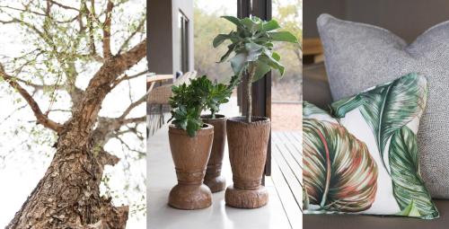 Bushwillow Private Villa Bushwillow Private Villa