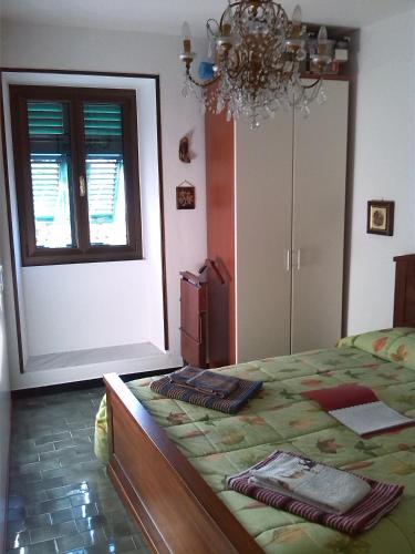 Comfortable rooms in countryside with garden