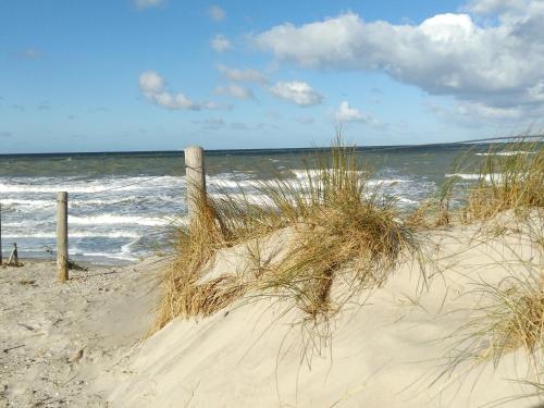 FEWO Buhnenkieker - image 3