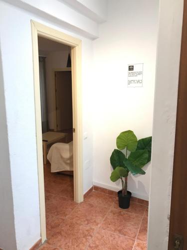 Rent&Dream Ballesteros Malaga