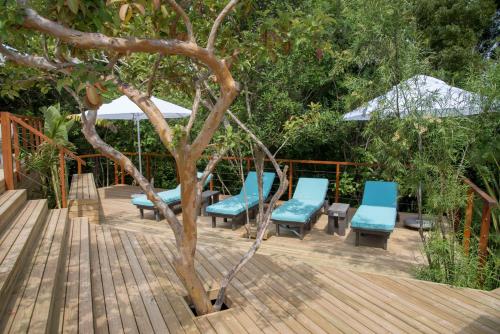 مسبح, Armadillo Studios in هانترز هوم