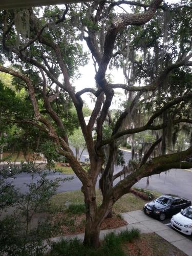 Fiddler's Cove -2 Bedroom Condo - image 6