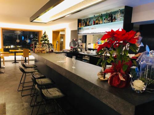 Hotel Silvana 5