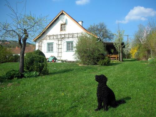 Beim Schachnerhaus - Location saisonnière - Pöllauberg