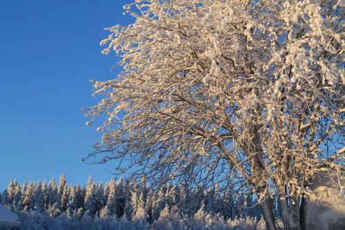 Maatilamatkailu Jänisvaara - Tap to explore photos