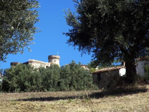 Accommodation in Acquaviva Picena