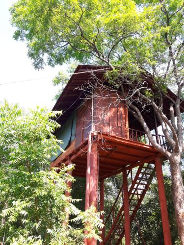 Dambulla Tree House Sigiriya