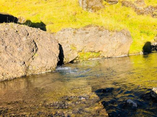 Hamrafoss Holiday Home photo