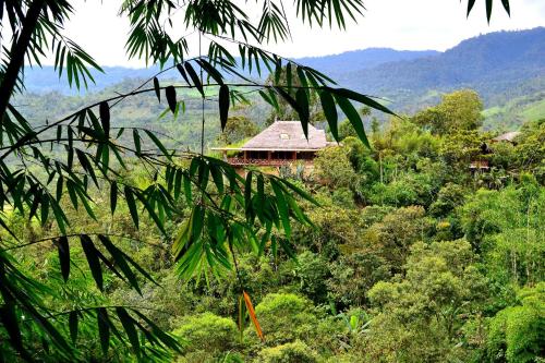 B&B Mindo - Terrabambu Lodge - Bed and Breakfast Mindo