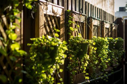 Suites On South Beach Hotel Hôtel