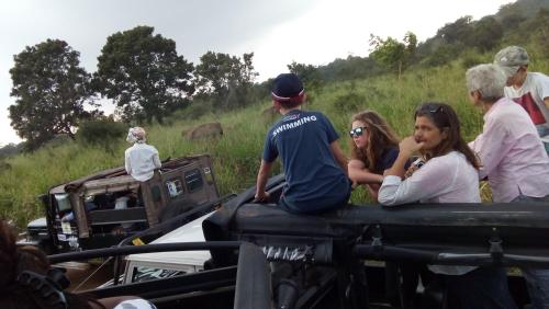 Priyanna Guest, Forest view