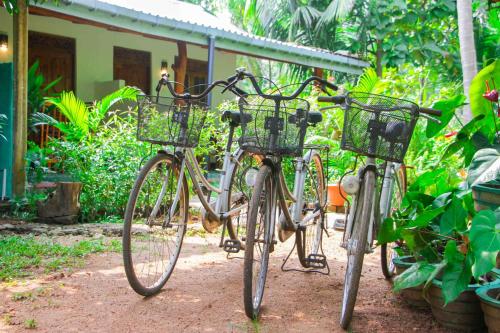 Sun Flower Homestay Sigiriya