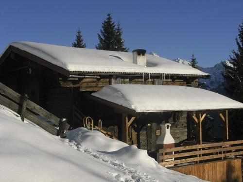 Hütte - Ferienhaus Bischoferhütte für 2-10 Personen