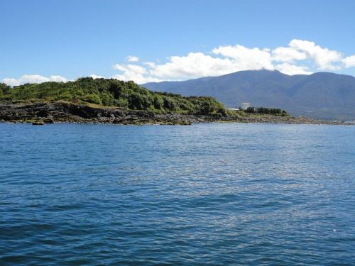 CABAÑA HUALAIHUE AUSTRAL