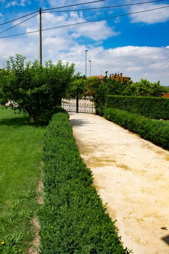 La Cueva del Tempranillo