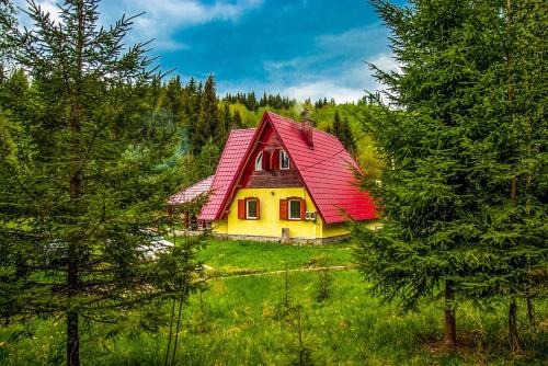 Doi Frati - Accommodation - Topliţa