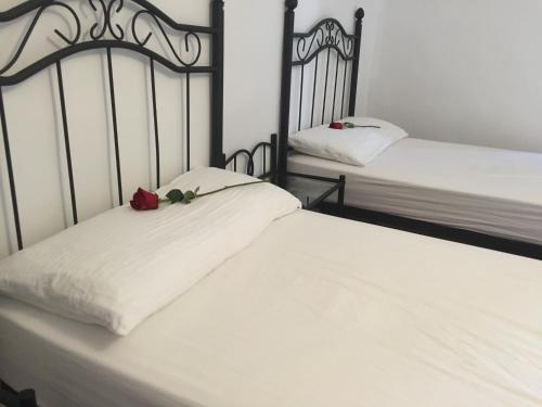 Albergue Rosalia / Pilgrim Hostel in Castrojeriz
