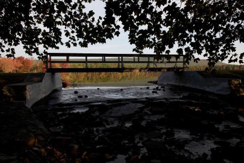 Mountain Springs Lake Resort - image 6