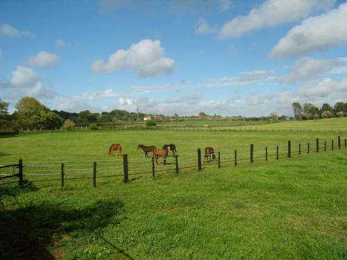 Agriturismo L.B.STUD - image 13