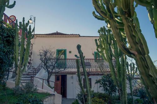 Casa Servando, Tejeda (foto 6)