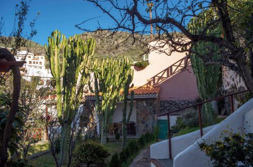 Casa Servando, Tejeda (foto 5)