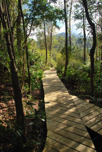 Apkārtne, Chucao Bosque y Cabañas (Chucao Bosque y Cabanas) in Čaitena
