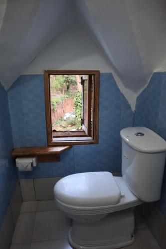 david crater homestay