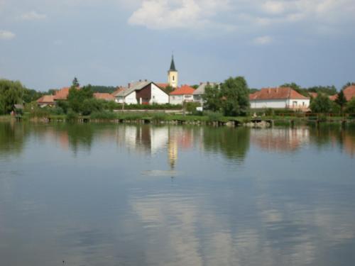 Nagybajcsi Lovaspark és Otthon vendégház - main image